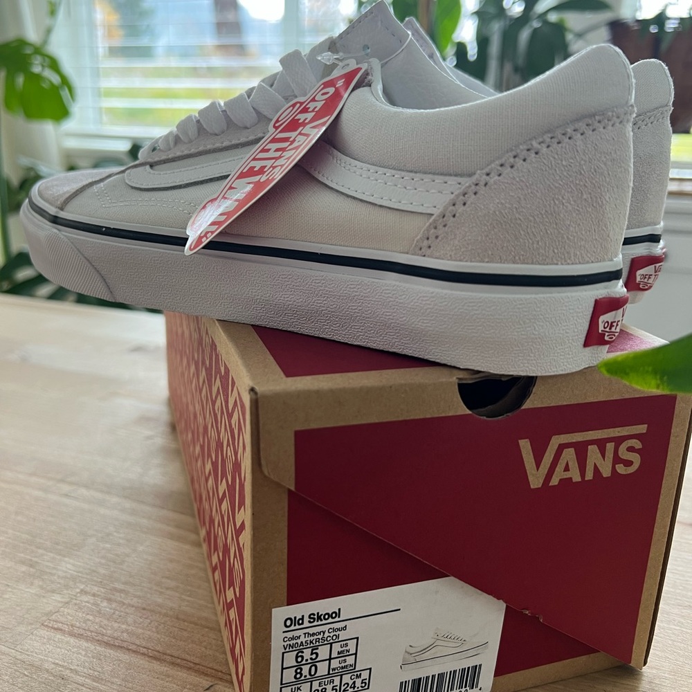 Brand New Vans old Skool sneakers in theory cloud color